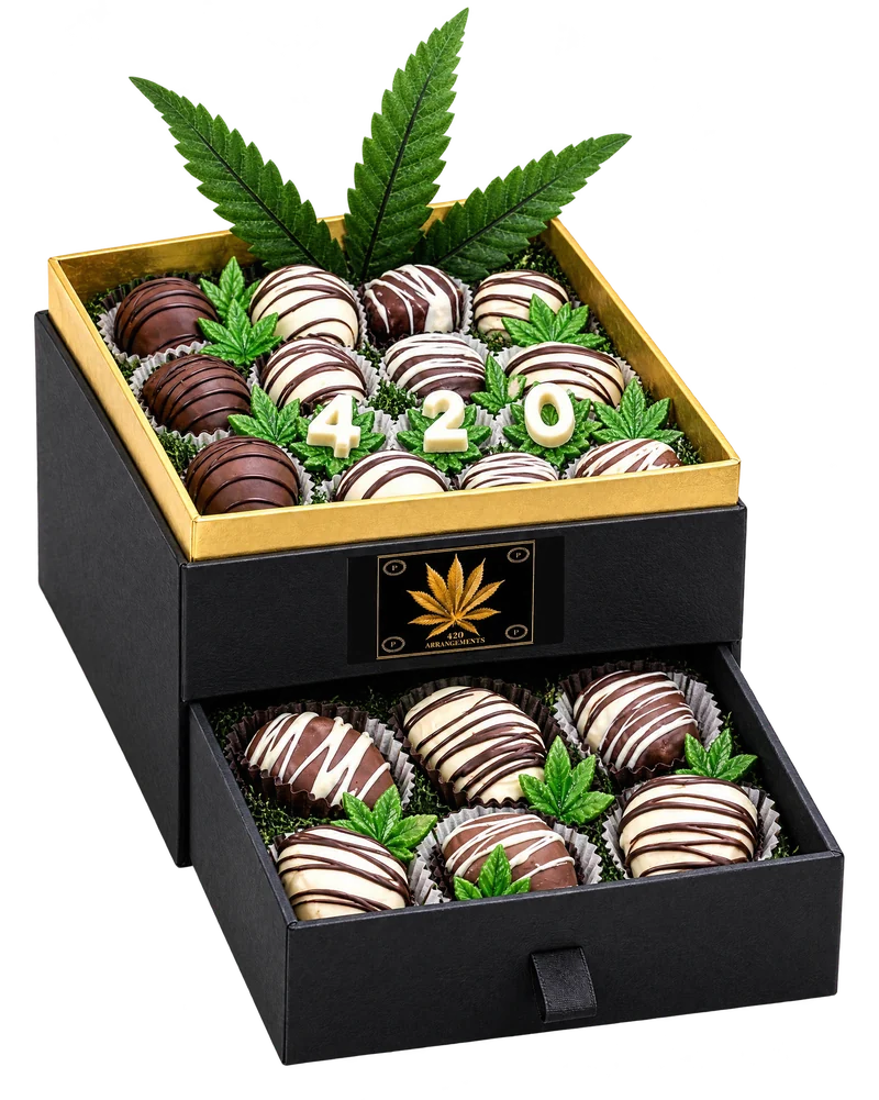 The two-tier box open, with large green leaves rising behind the top tray, white chocolate 4 2 0 pieces on candy leaves, and the drawer pulled out below.