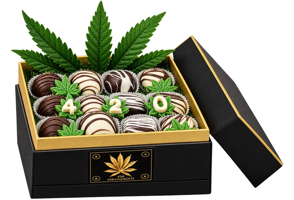 The lid off and leaning on the box, with green leaves rising behind the chocolates and white chocolate 4 2 0 pieces.